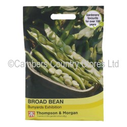 Thompson & Morgan Broad Bean Bunyards Exhibition